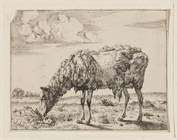 Unknown, Print