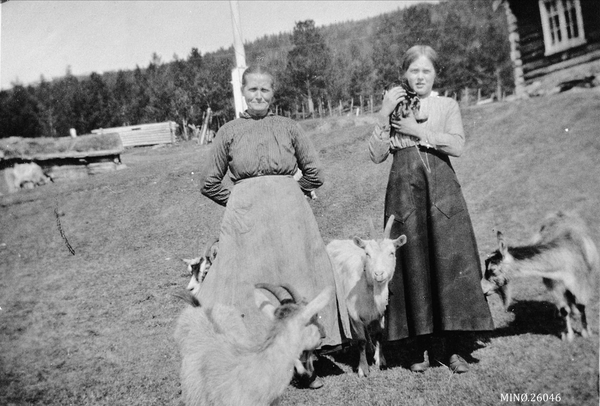 Ivar Ryen, Seterbilde. På bildet ser vi Marit Haugen og Anna Haugen Røsten