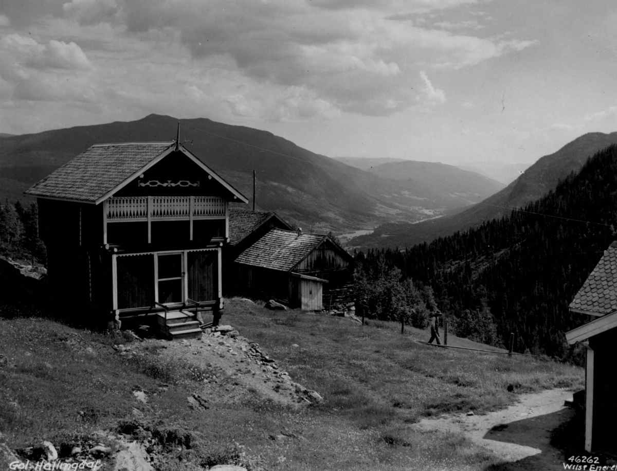 Anders Beer Wilse, Bebyggelse Hallingdal.