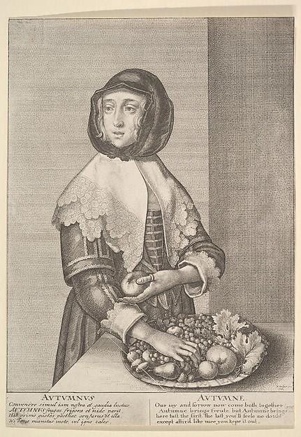Wenceslaus Hollar, Autumnus - Autumn