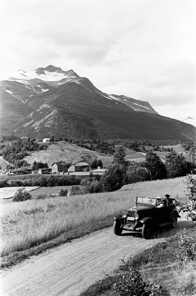 Anders Beer Wilse, Prot: Beiardalen ved Husmoen höide