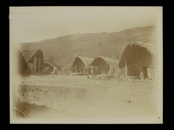 Unknown, Photograph
