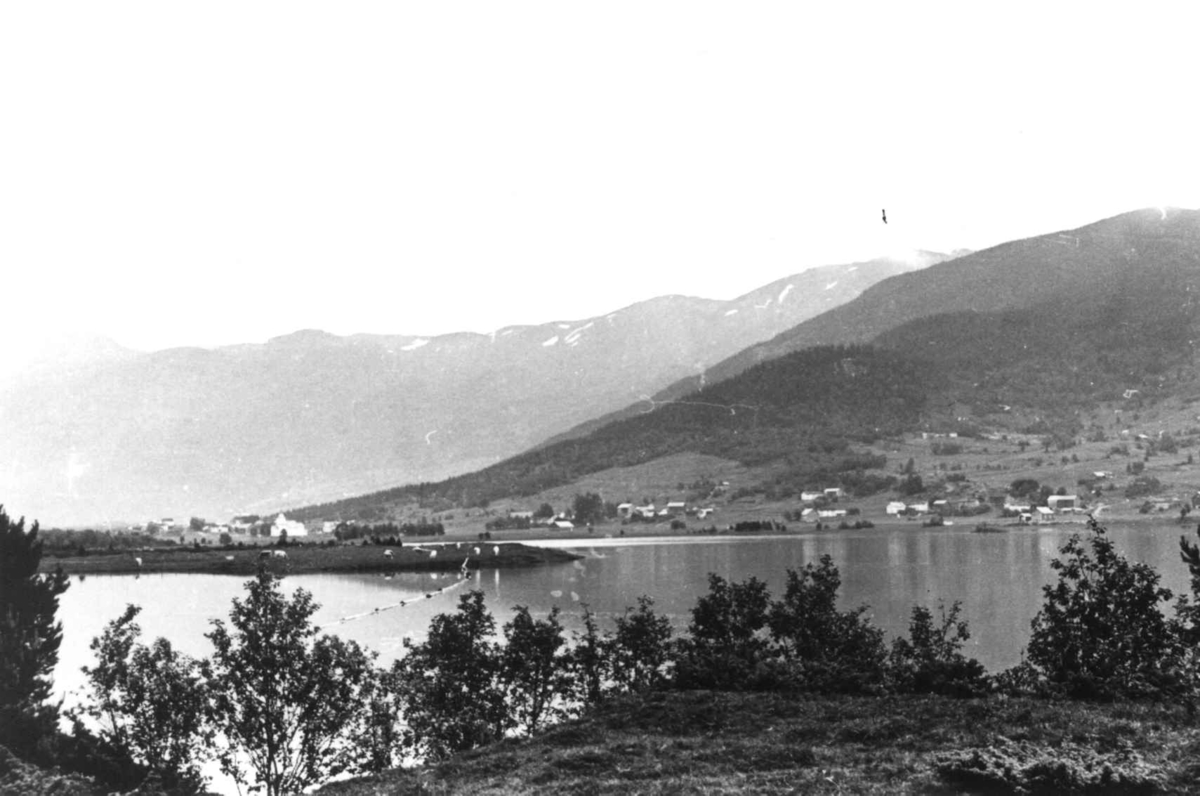 Anna Grostøl, Oversiktsbilde med bebyggelse fra vestsiden, Valle 1939.