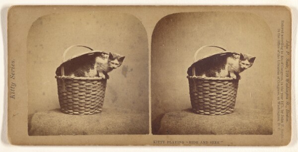 John P. Soule, Kitty Playing "Hide and Seek"