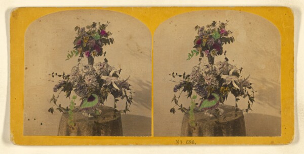 Benjamin West Kilburn, [Vase of flowers on a small table]