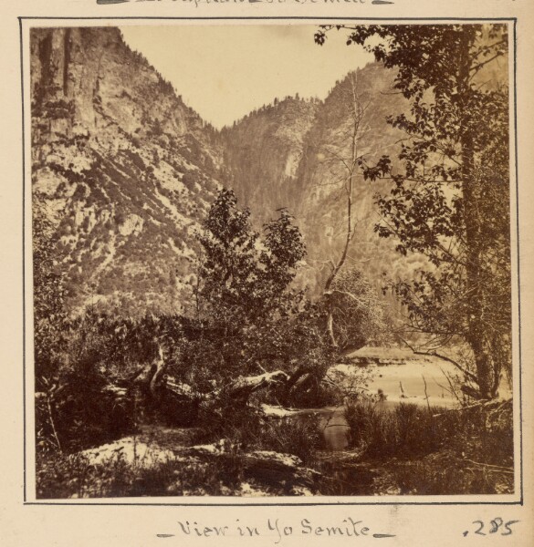 Carleton Watkins, View in Yosemite