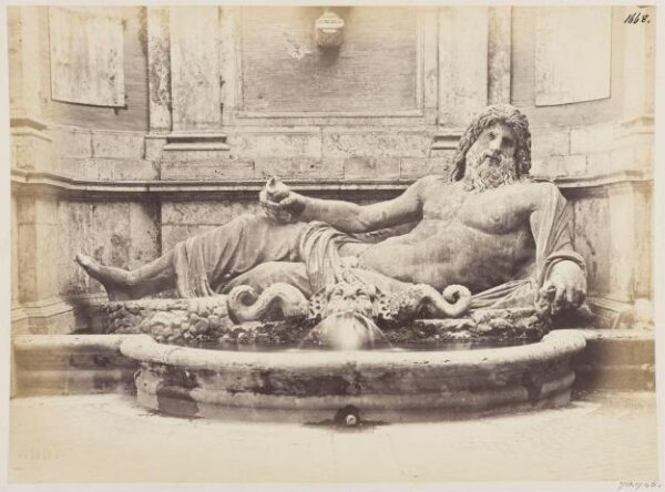 unknown, Photograph