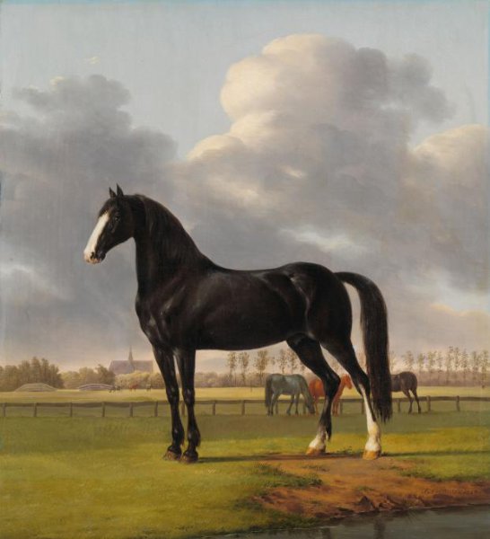 Anthony Oberman, Adriaan van der Hoop’s Trotter ‘De Vlugge’ (The Fast One) in a Meadow