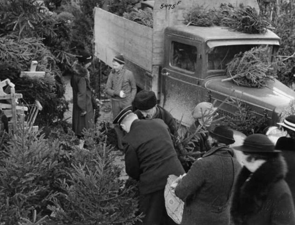 Anders Beer Wilse, Juletresalg, Youngstorget, Oslo, 1936