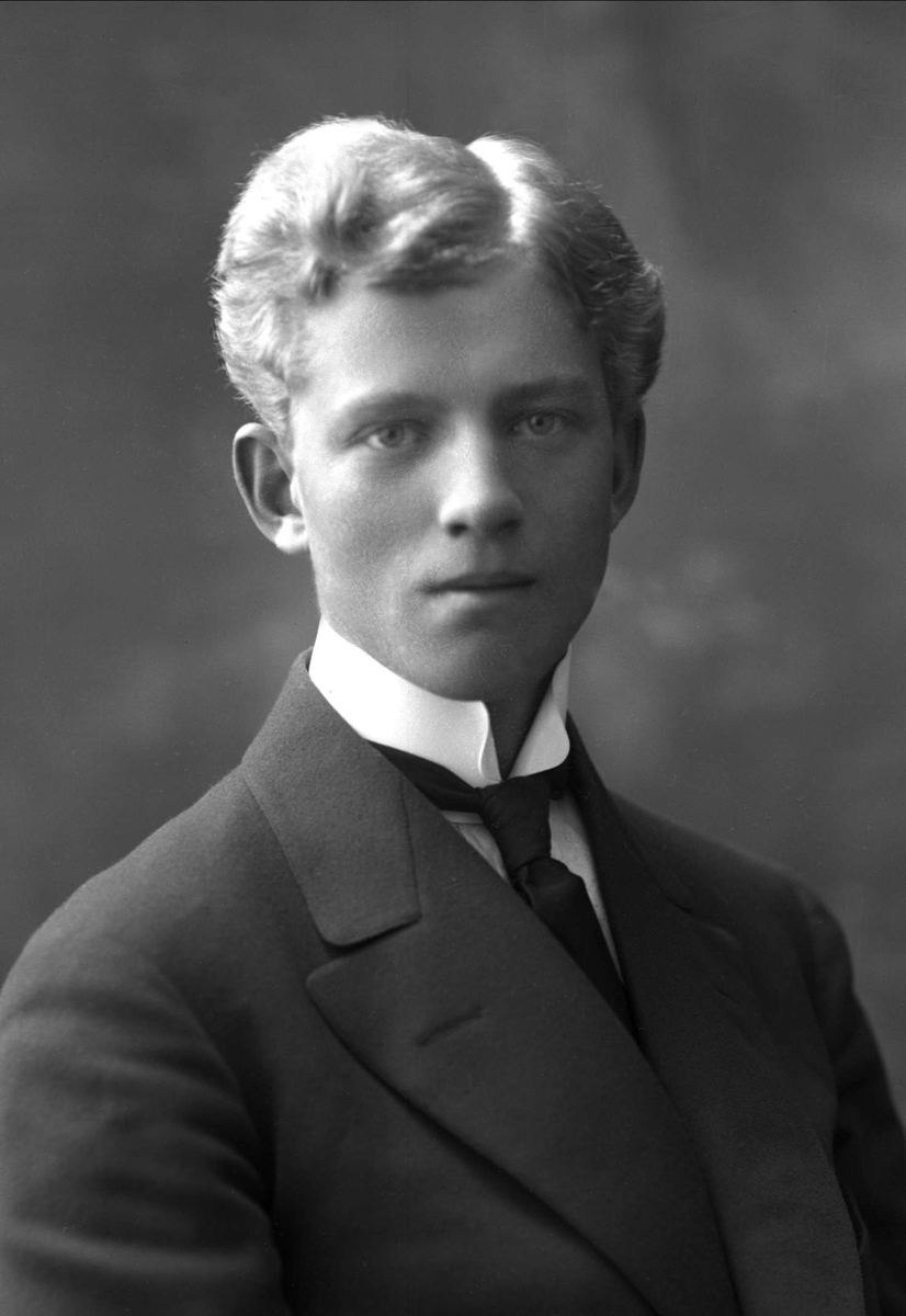 Gustav Borgen, Portrett, Arne Bull