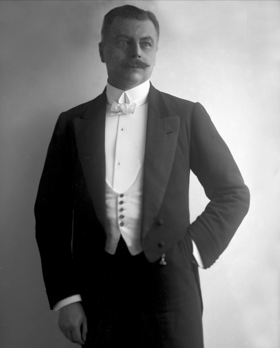 Gustav Borgen, Portrett, Nils Westergaard (1881-?).