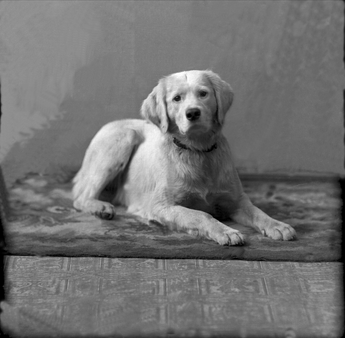 Gustav Borgen, NFB.22699