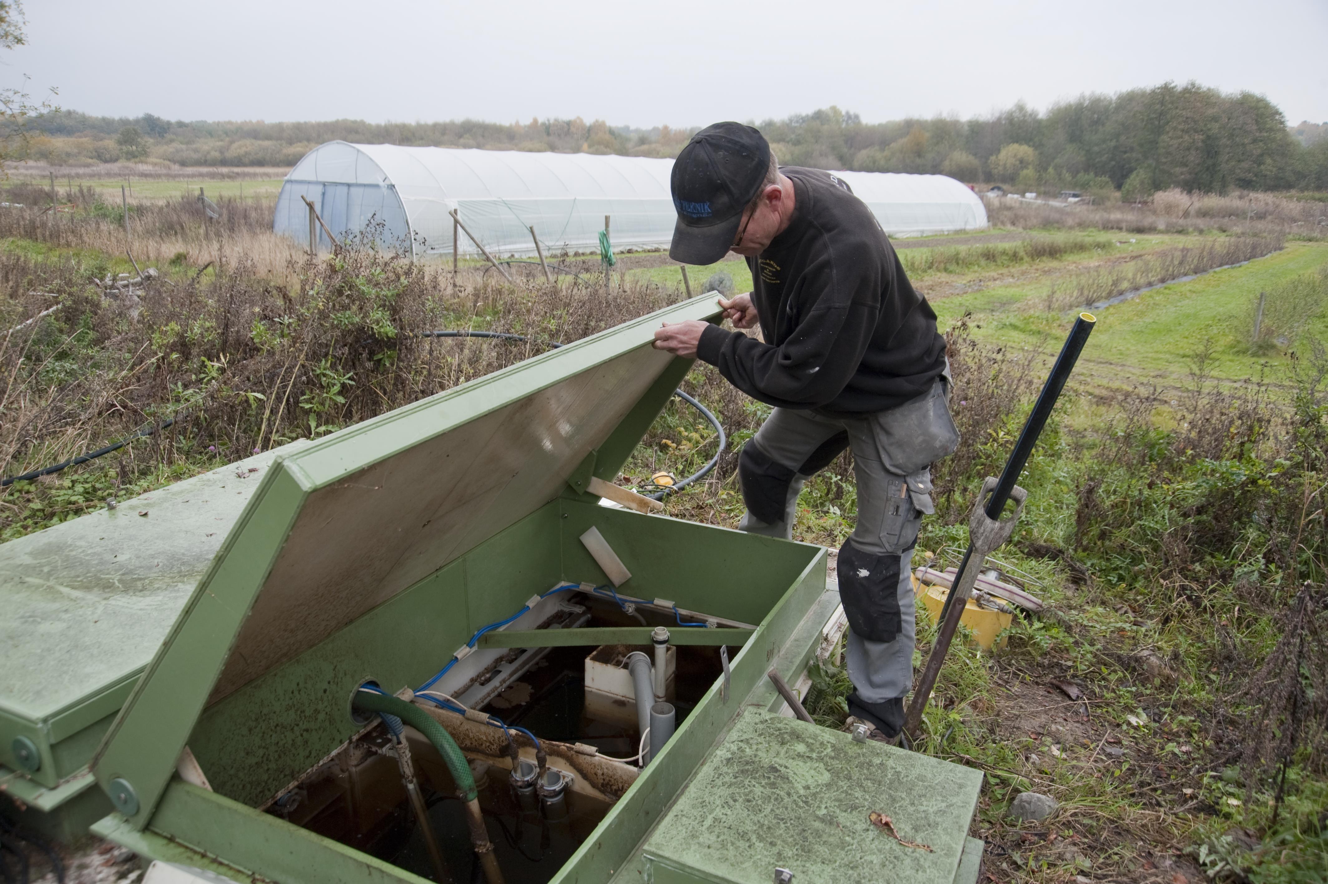 Bengt A Lundberg, Hornuddens trädgård