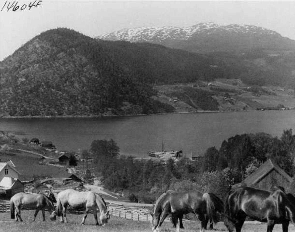 Anders Beer Wilse, -7045