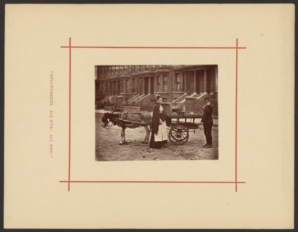 John Thomson, The Street Fruit Trade