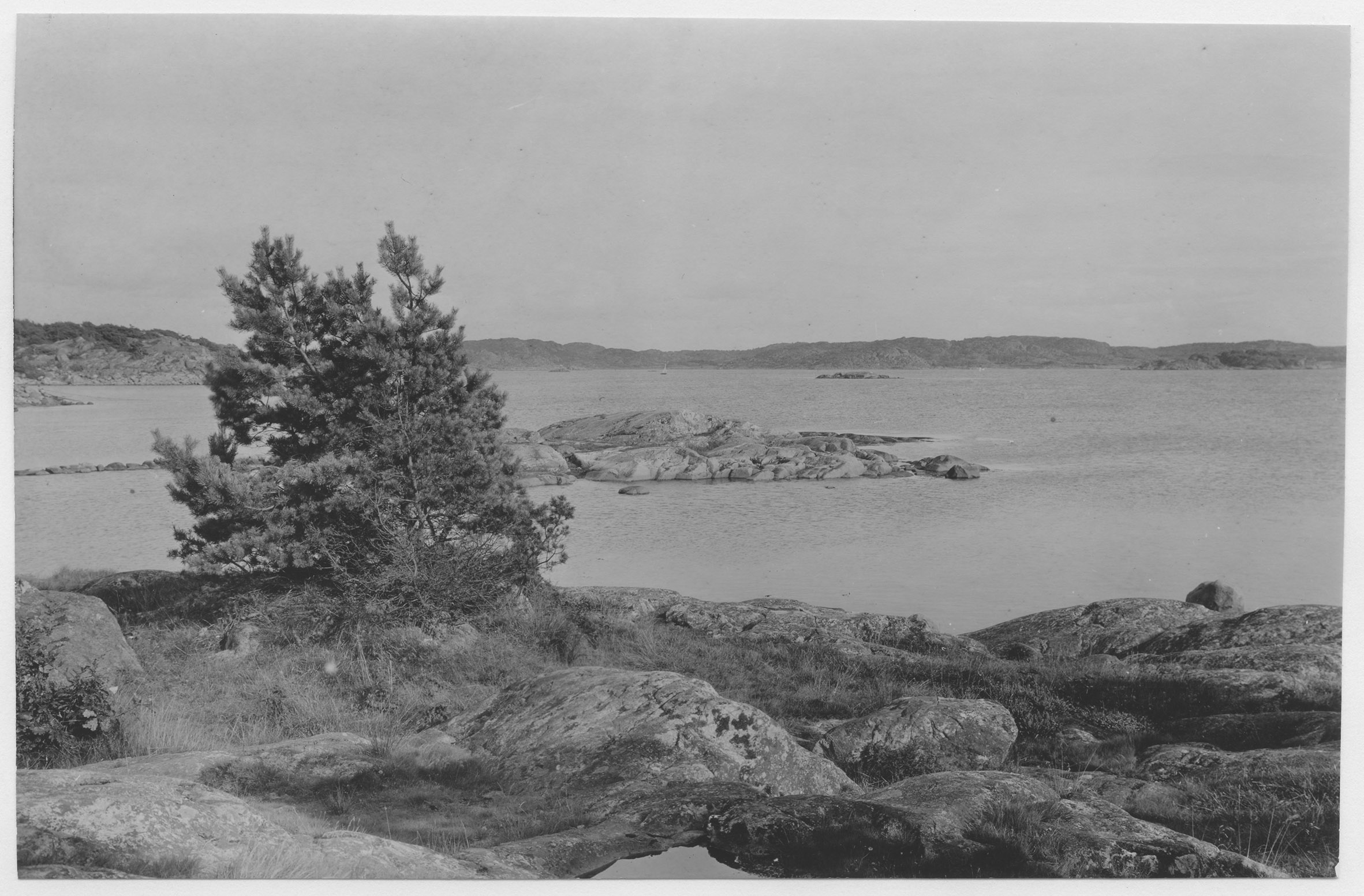 Mårten Sjöbeck, Särö, stränder