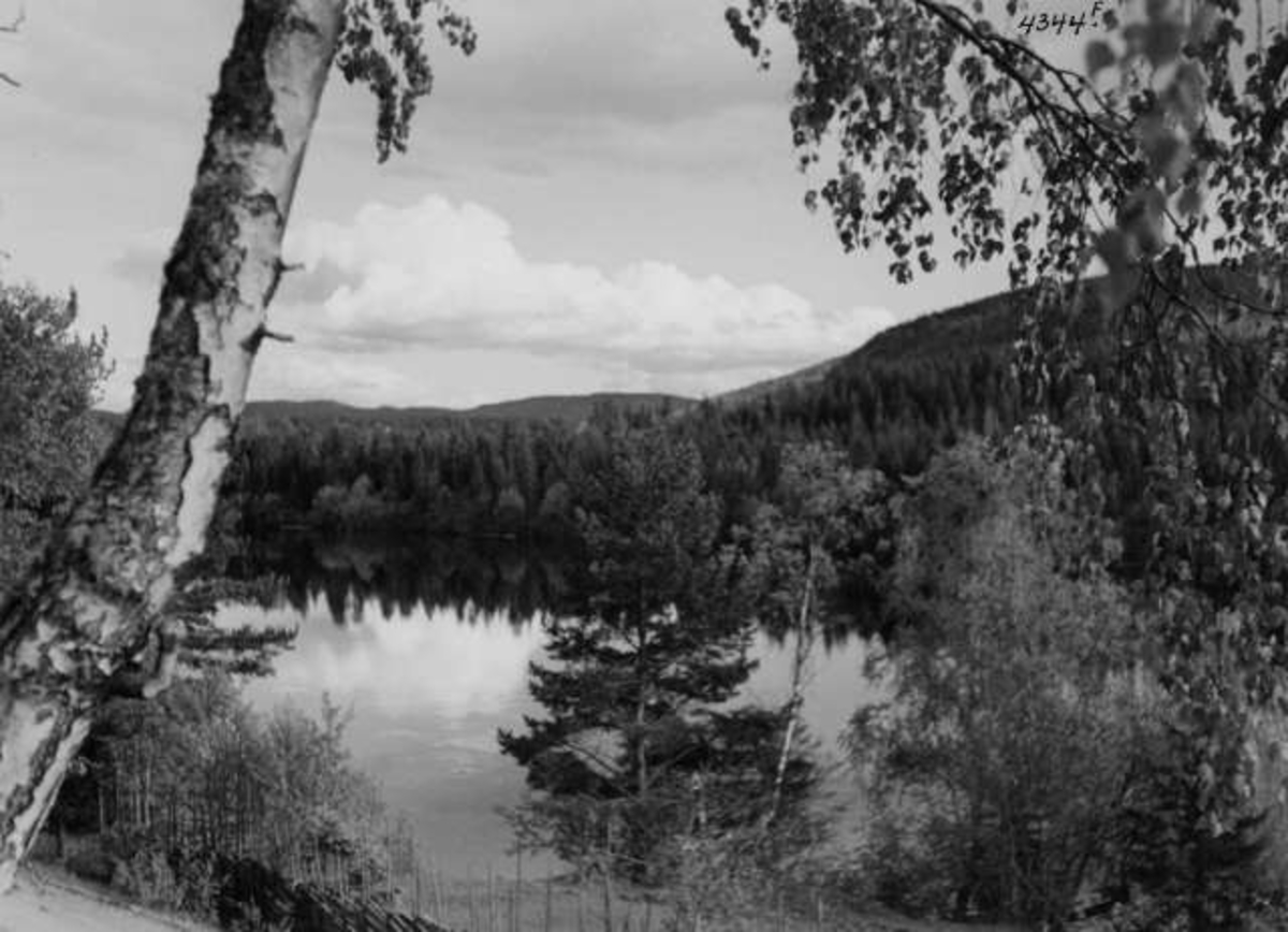 Anders Beer Wilse, -8374