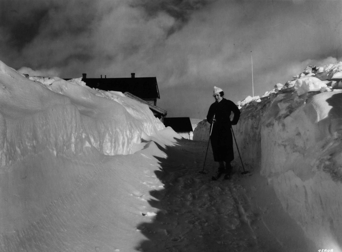 Anders Beer Wilse, Friluftsliv / Sport Skki Sno Rondablikk