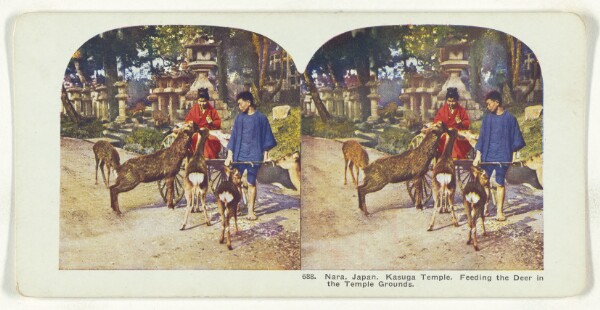 Unknown, Nara, Japan. Kasuga Temple. Feeding the Deer in the Temple Grounds.