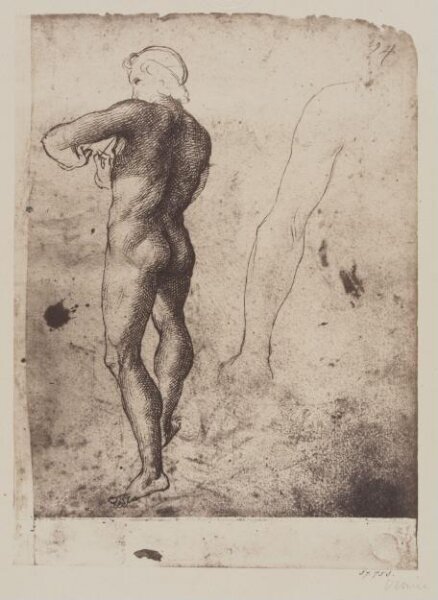 Fratelli Alinari, Study of a man