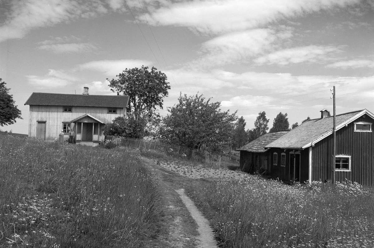Anno Domkirkeodden, EKSTR: GARDSTUN, ØSTBY, SKOGBYGDA, LØTEN. Se Løtenboka, bind 3. Bygdeboka fra 1955, side 601