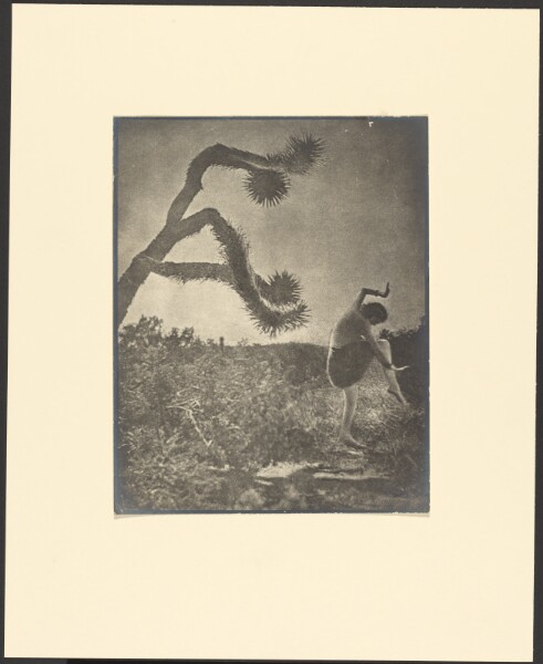 Louis Fleckenstein, Apache Dance