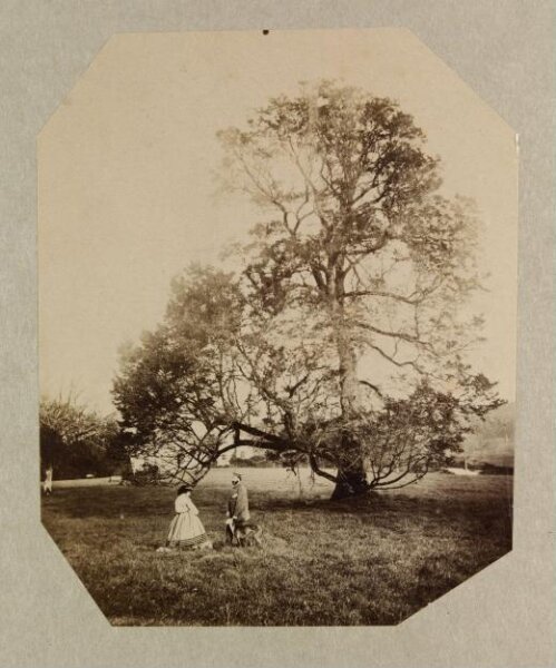 Clementina, Lady Hawarden, Photograph