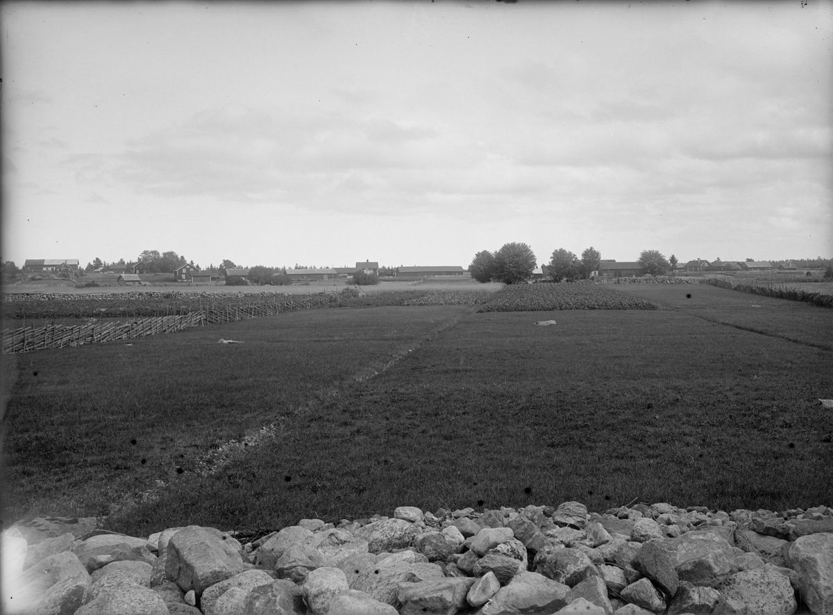 Paul Sandberg, Landskapsvy, "Viken", Hållen, Hållnäs socken, Uppland, sannolikt 1930-tal