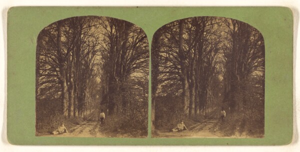 Unknown, [Forest scene: one man in top hat to right, another man on ground at left]
