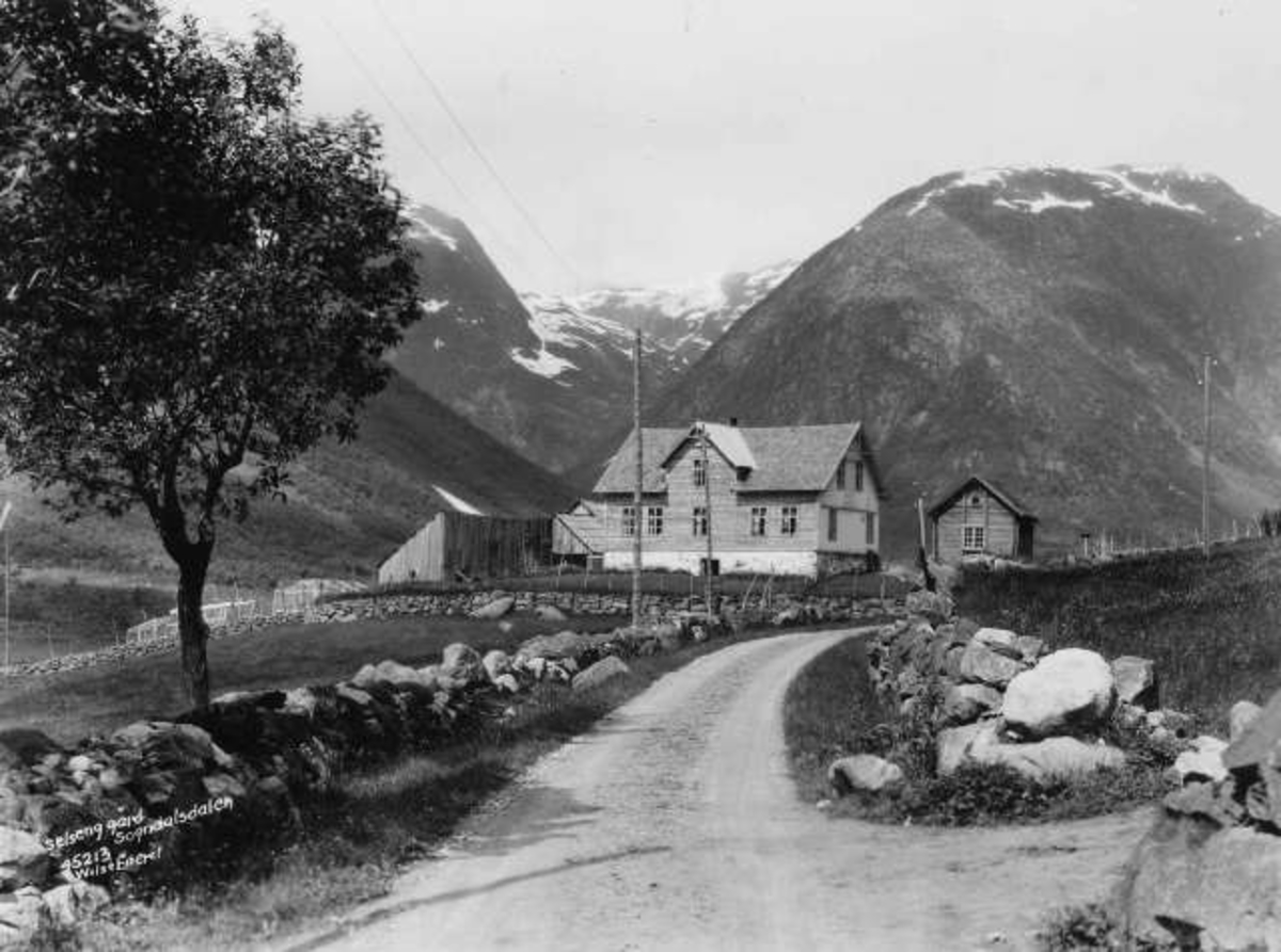 Anders Beer Wilse, -7024