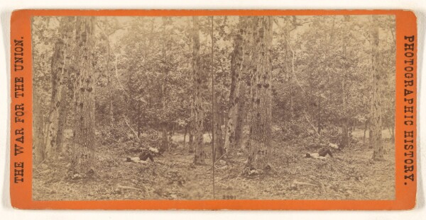 Edward and Henry T. Anthony & Co., Woods on the left wing, Battle of Gettysburgh [sic].
