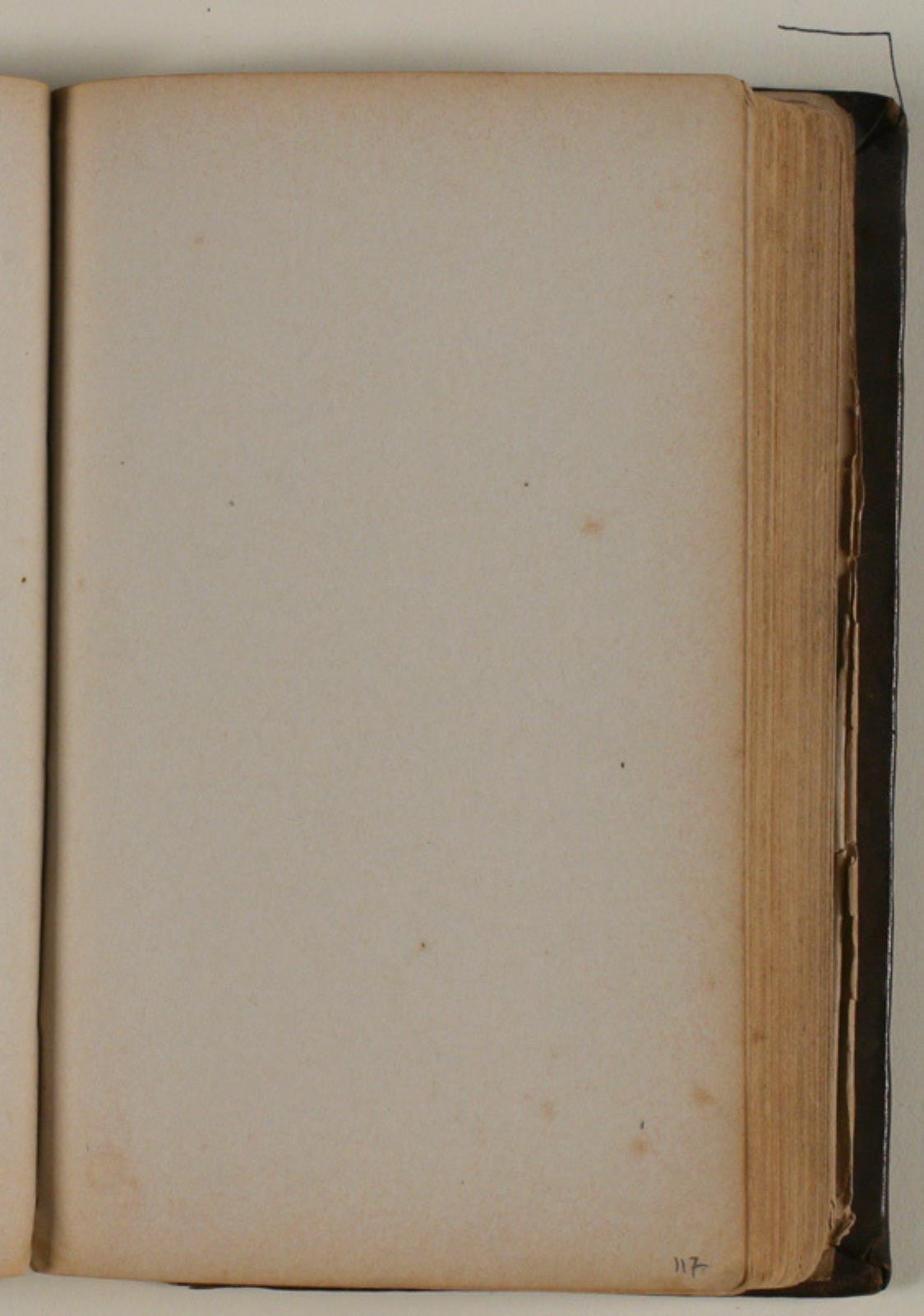 Niels Larsen Stevns, Blank