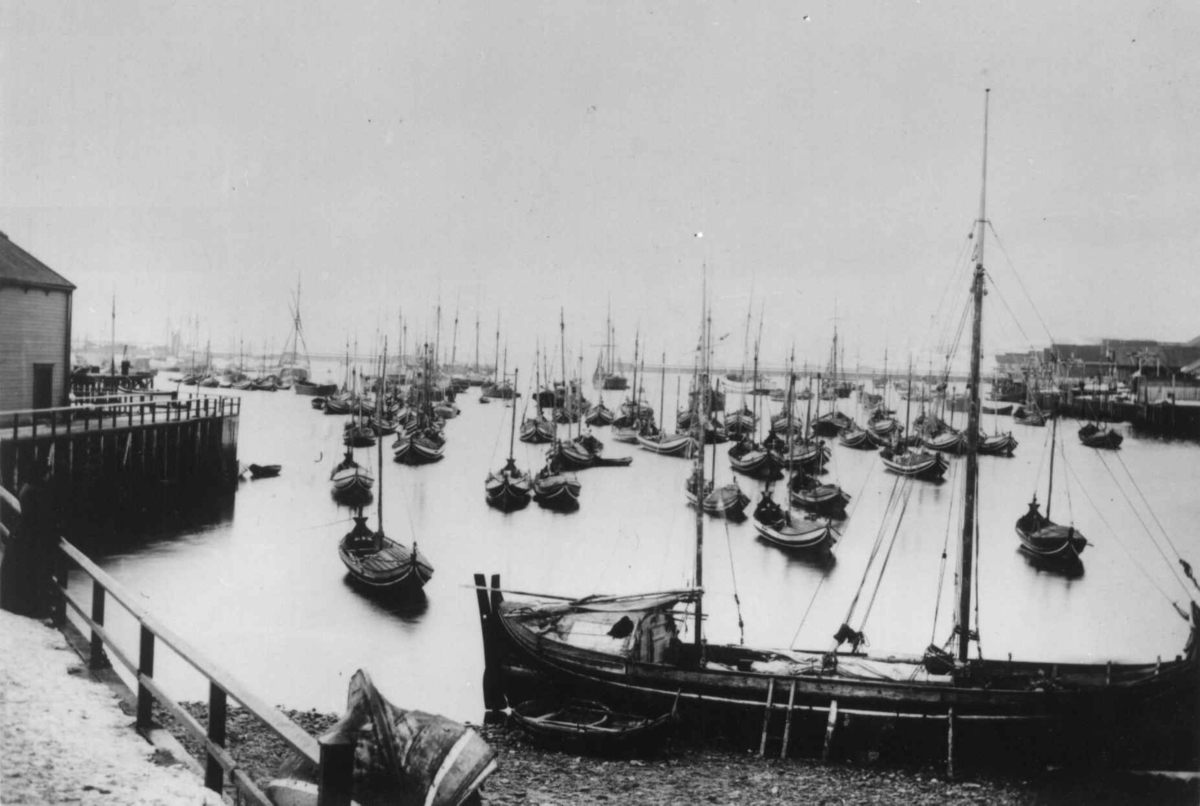 Ellisif Rannveig Wessel, Vardø, Finnmark, ca. 1900. Havneparti med båter.