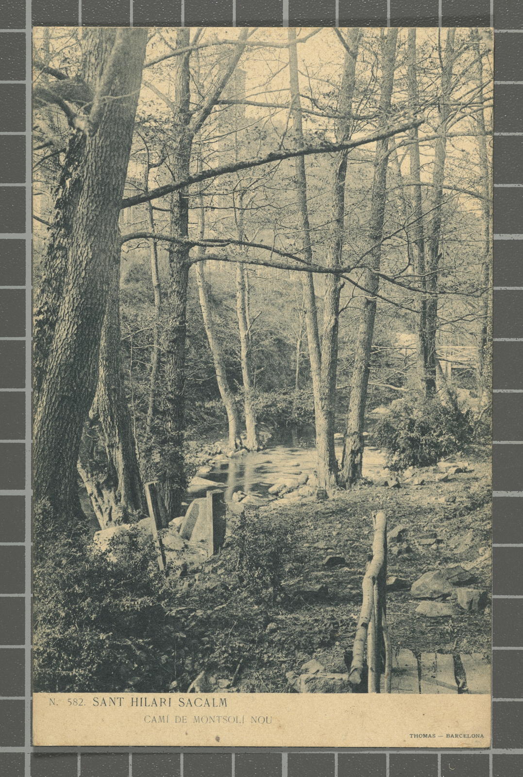 Desconegut, N.º 582. Sant Hilari Sacalm. Camí de Montsolí Nou