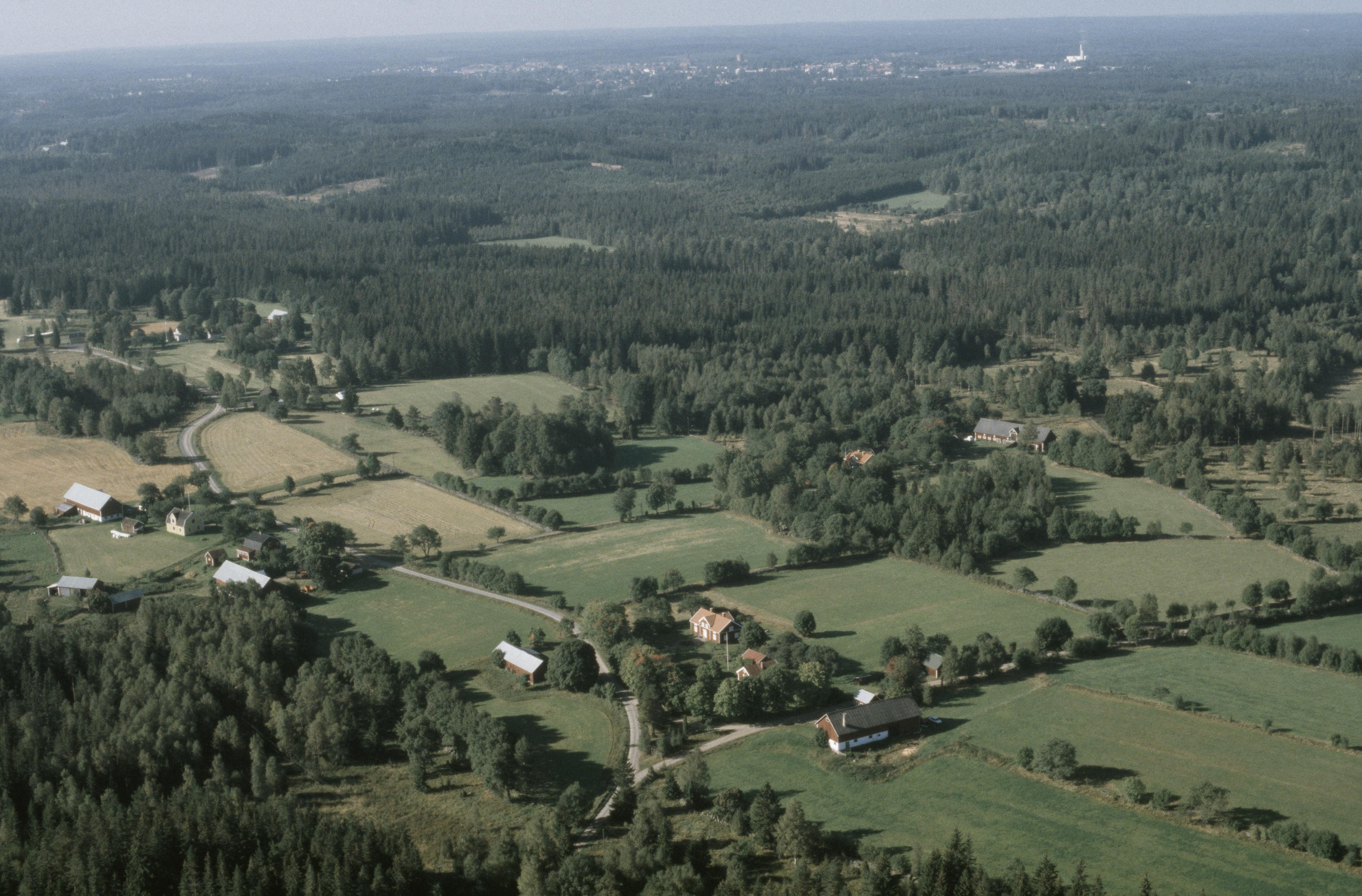 Jan Norrman, Danstorp