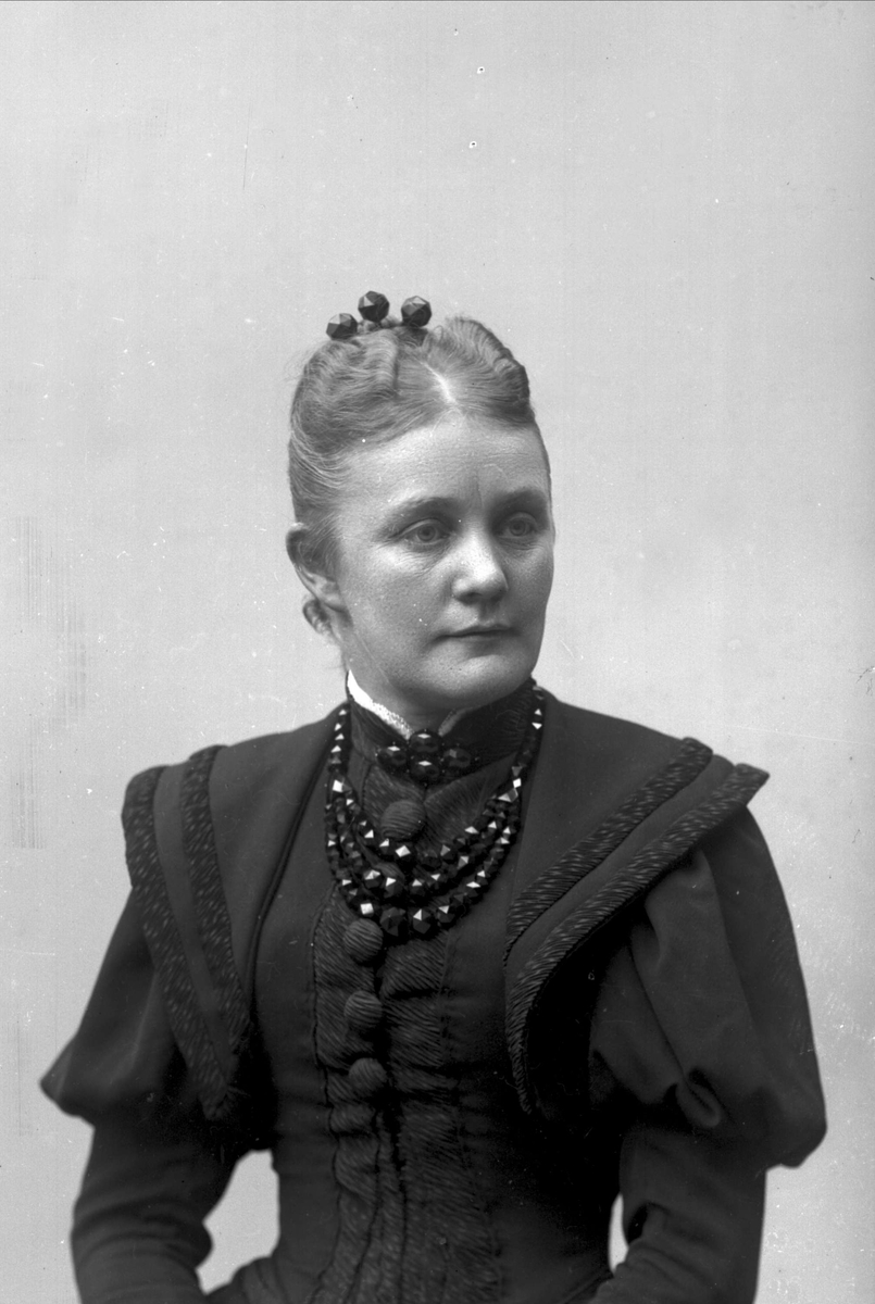 Gustav Borgen, NFB.22941