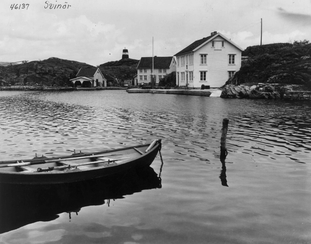 Anders Beer Wilse, Wilse original, Svinor Toldstajon