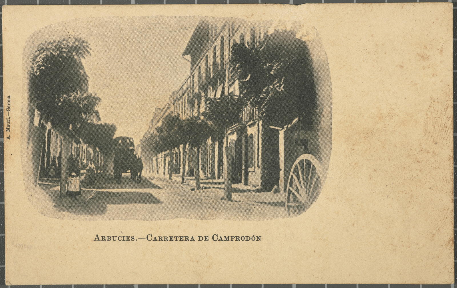Amadeu Mauri Aulet, Arbucies.-Road of Camprodón