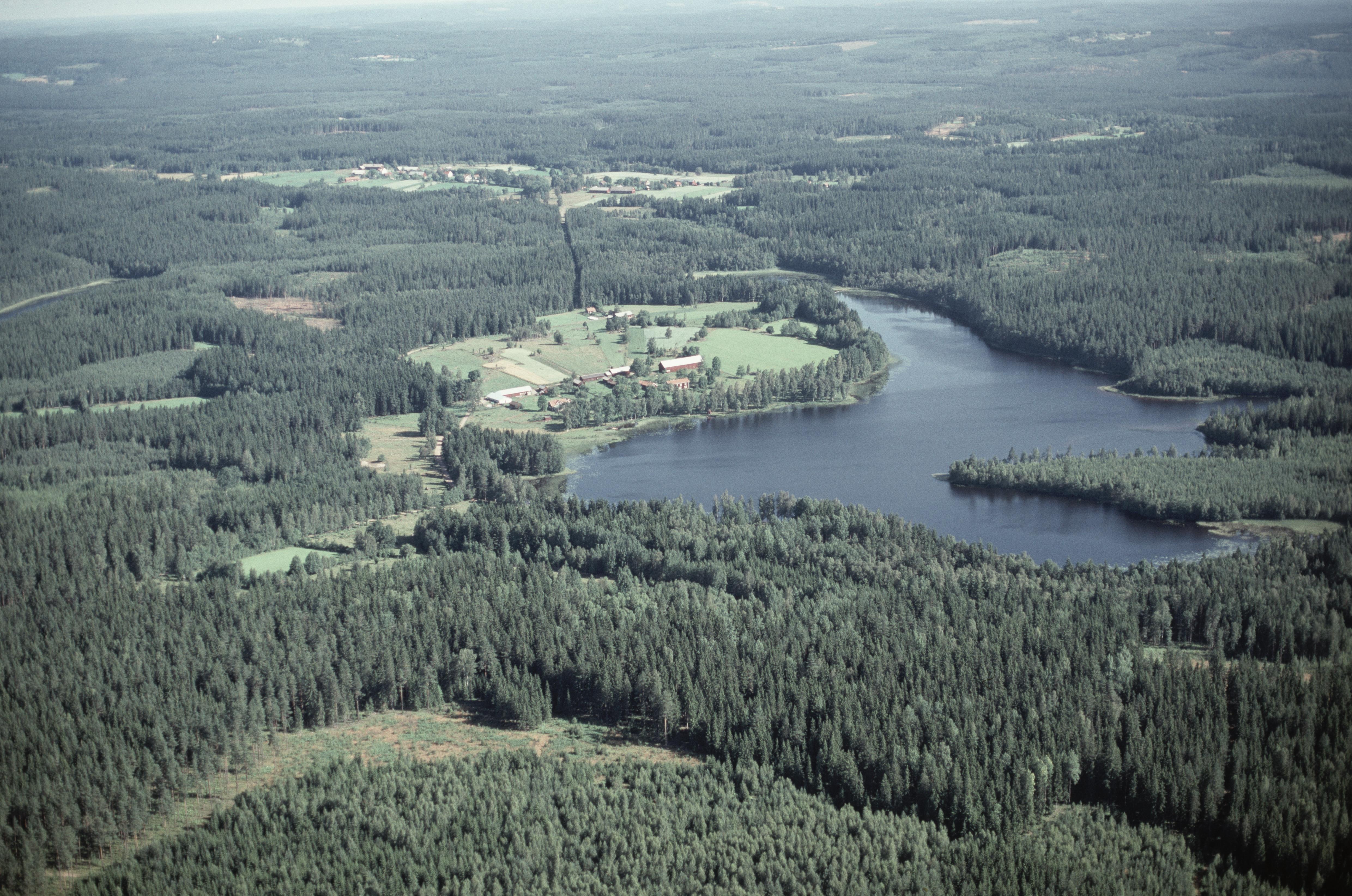 Jan Norrman, Näs i Ingatorp