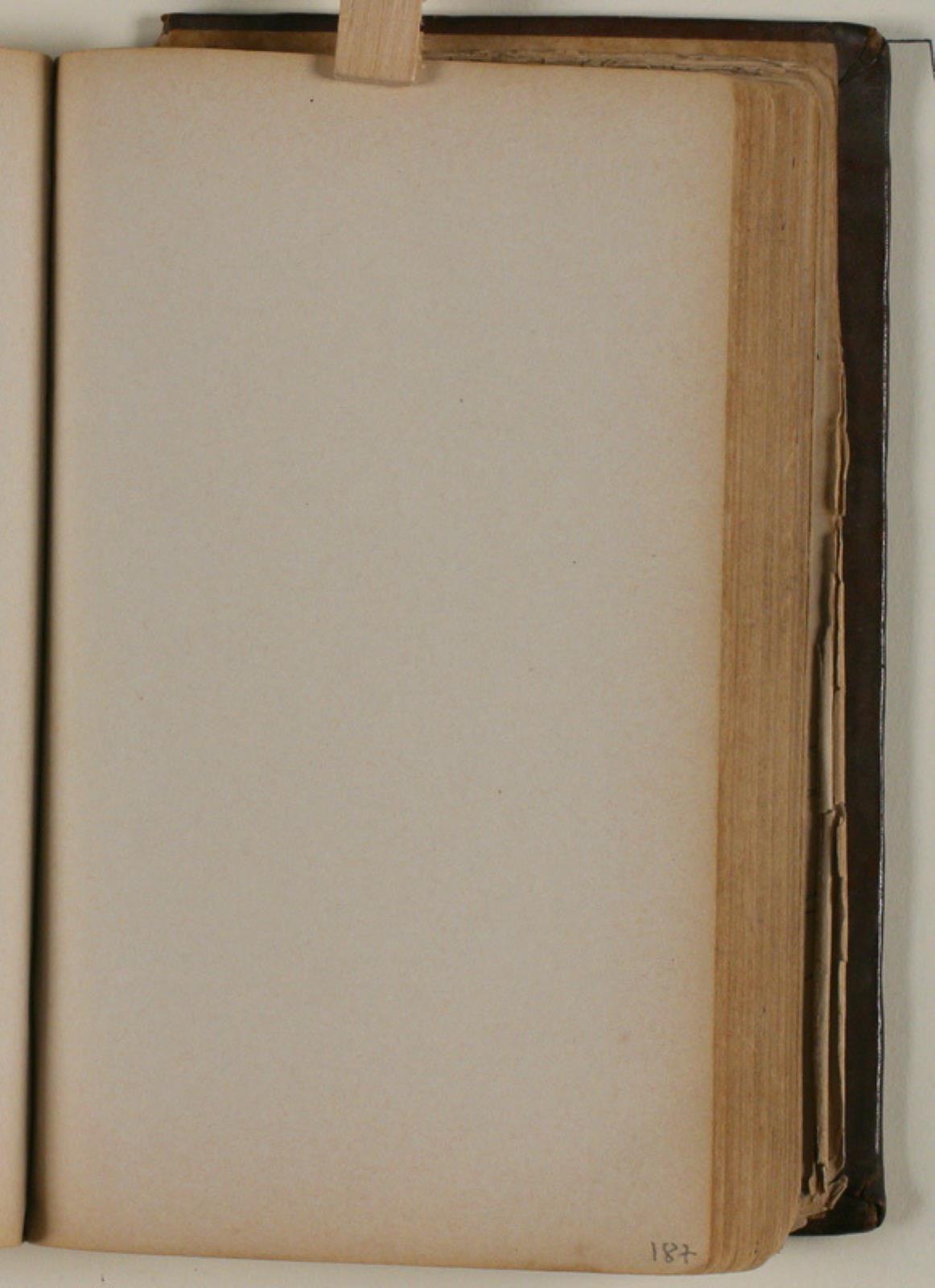 Niels Larsen Stevns, Blank