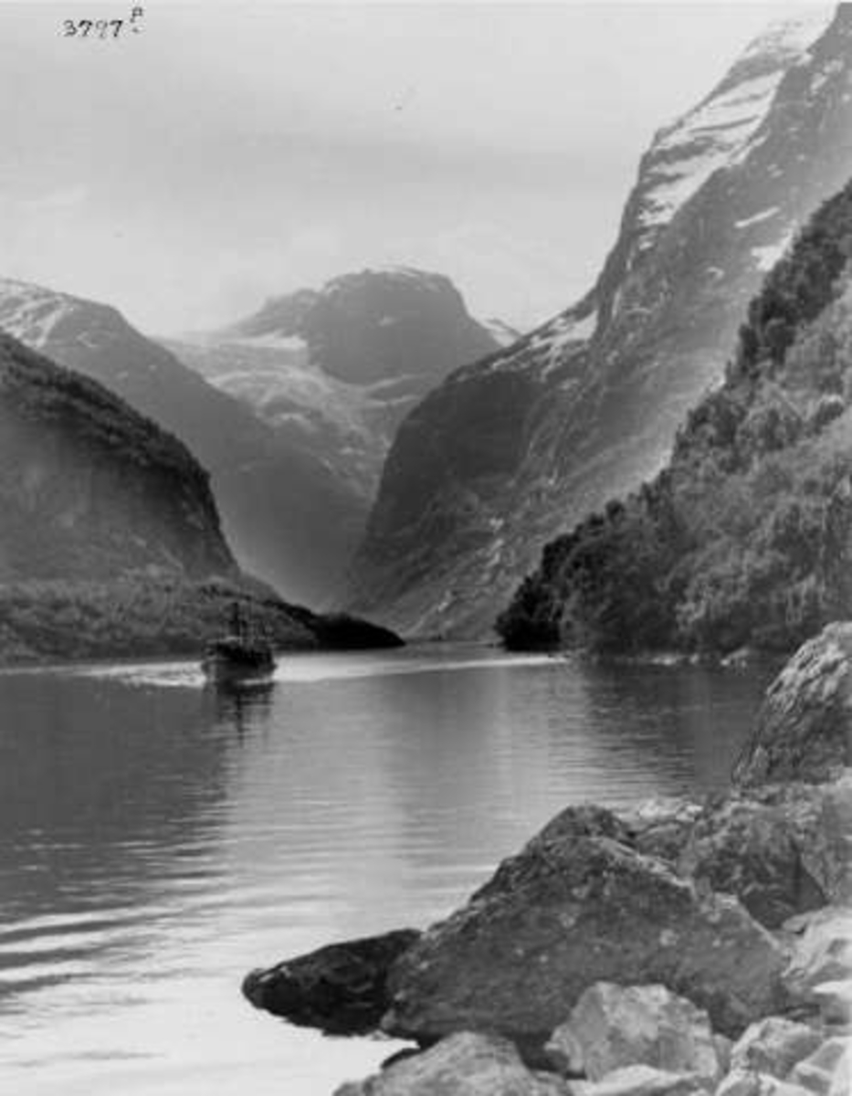 Anders Beer Wilse, -6652