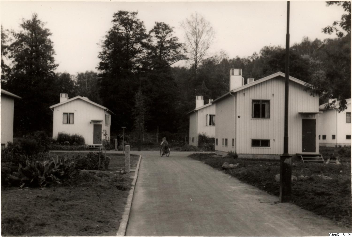 Otto Thulin, fotografi, bilder