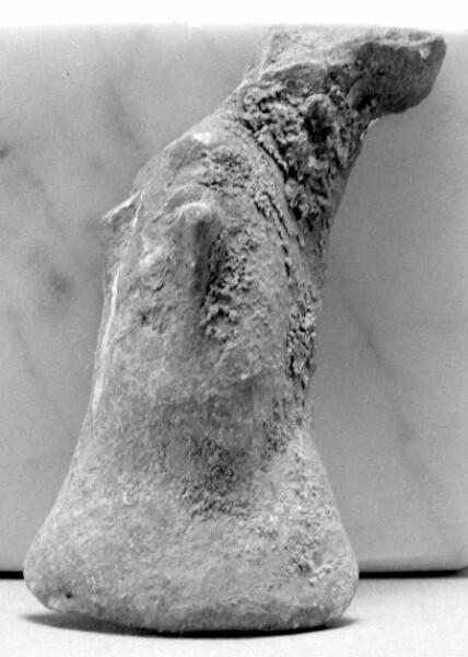 Unknown, Female Head