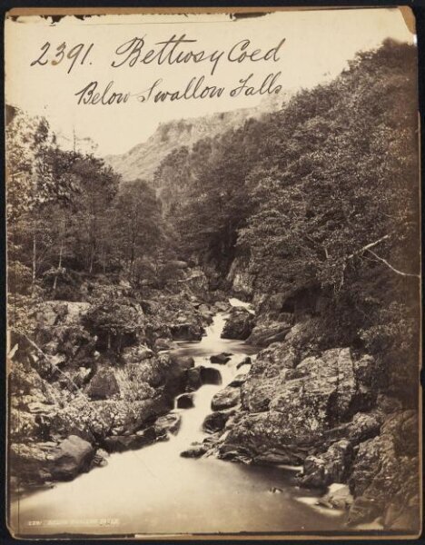 Francis Frith, Bettws y Coed.  Below Swallow Falls