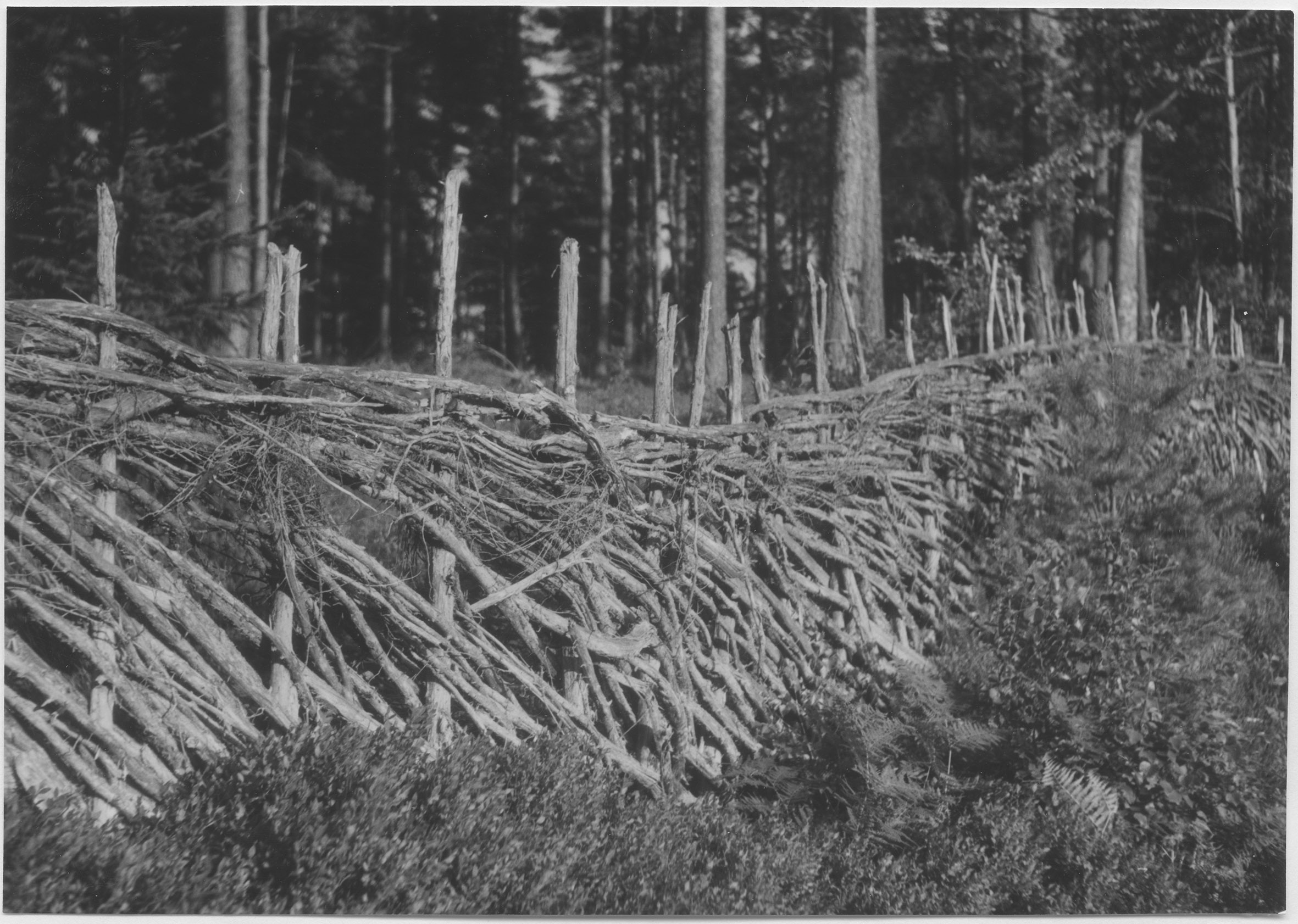Mårten Sjöbeck, Pieboda, gärdesgård kring åker