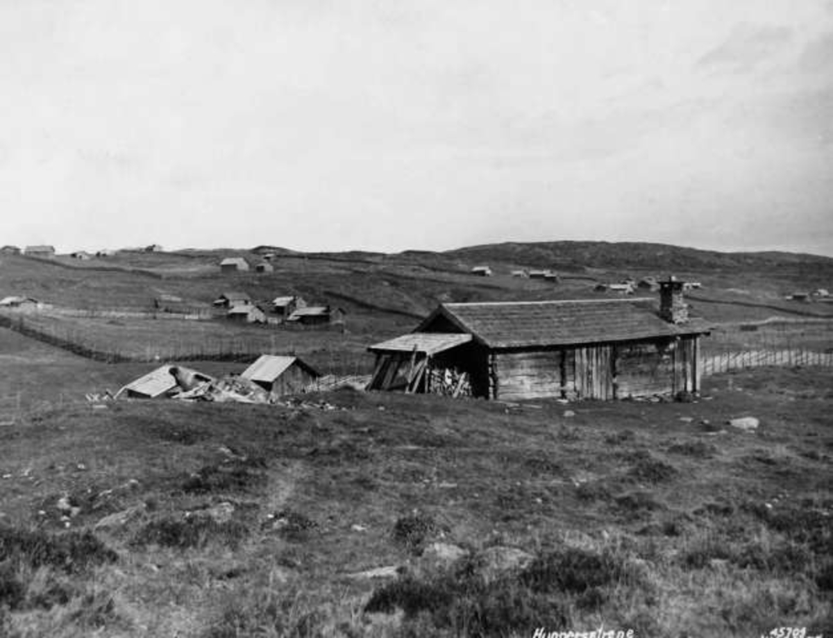 Anders Beer Wilse, -8008