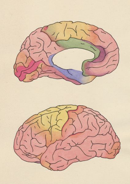 J Tinkelenberg, Brain
