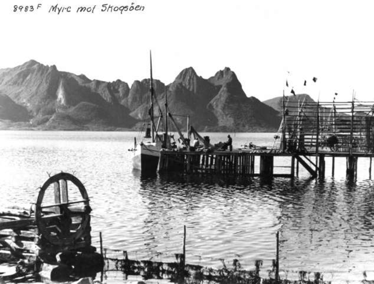Anders Beer Wilse, -5941