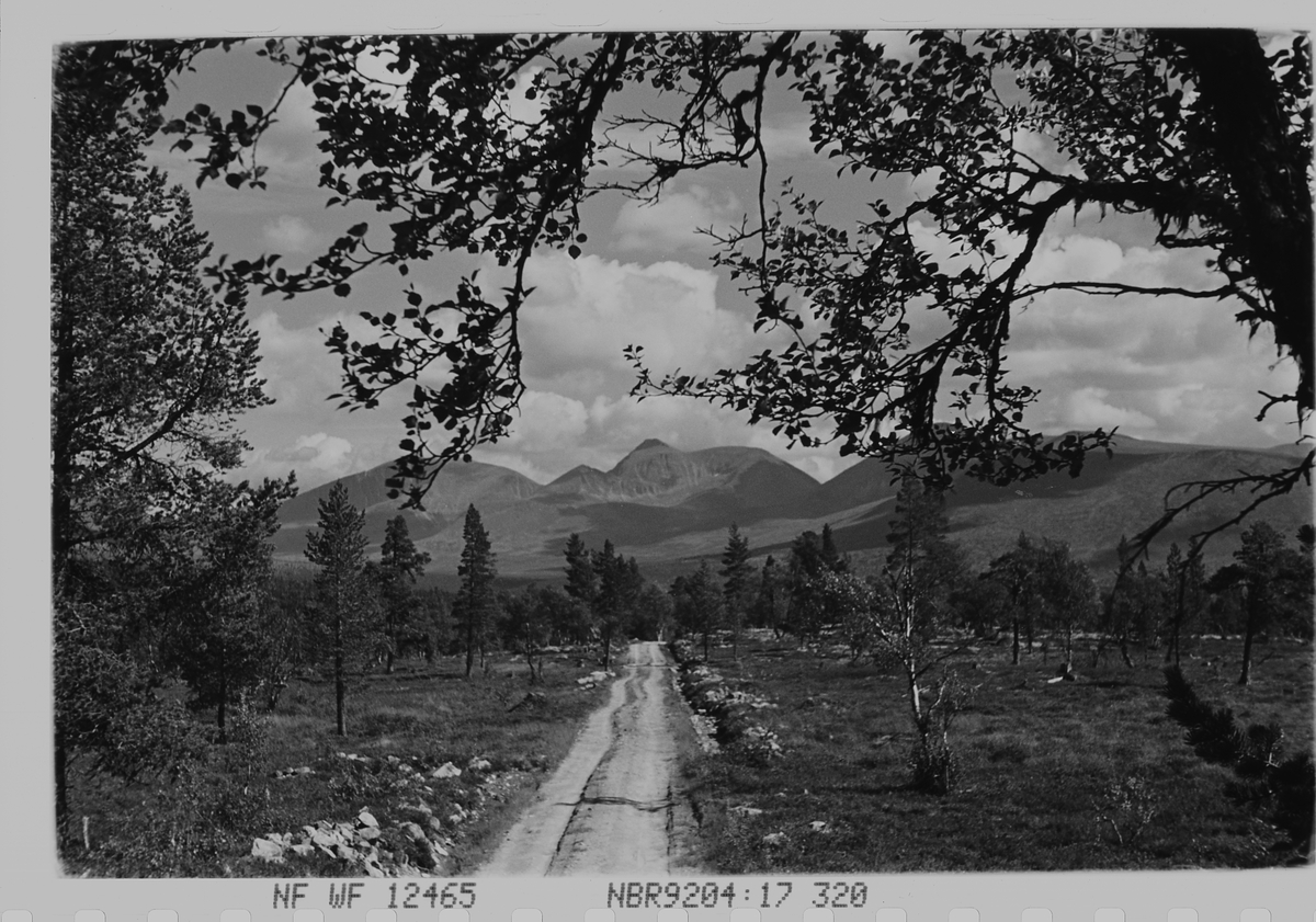 Anders Beer Wilse, Prot: Veiparti - Sölen- Misterdalen