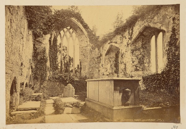 Unknown, Muckross Abbey, Killarney